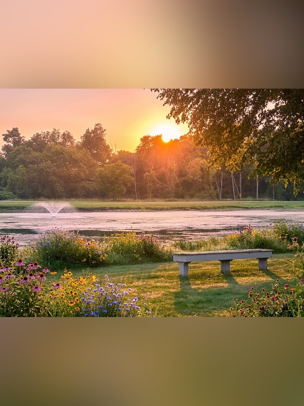 Sunset Lake Bench Photography Wall Art - Orange, Green, Blue